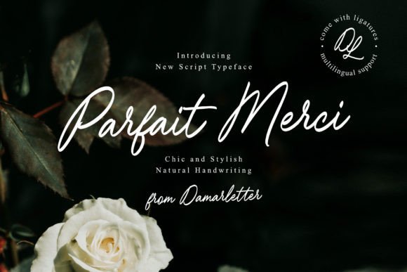 Parfait Merci: A Premium Script Font