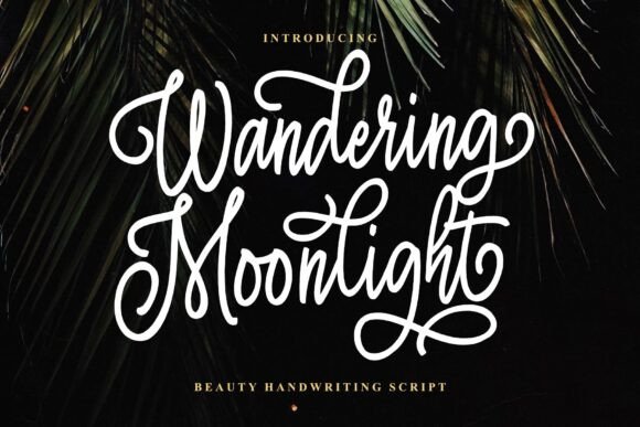Wandering Moonlight Font Review
